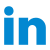 LinkedIn 2 icon