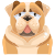 狗 icon