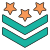 Military Rank icon