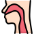 Anatomy icon