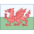 威尔士 icon