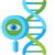 Dna Strand icon