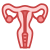 Uterus icon