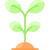 太陽の下の植物 icon