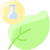 Leaf icon