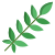 Rowan Leaf icon