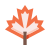 Leaf icon