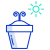 Plant Growing icon
