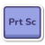 Print Screen icon
