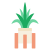 阳光下的植物 icon