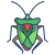 Stink Bug icon