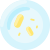 Petri Dish icon