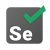 Automazione del Test di selenio icon