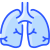 Pulmones icon