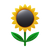 Sunflower icon