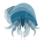 Hermit crab icon