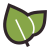 Naturkost icon