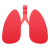 Pulmones icon