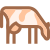 Raza de vaca icon