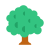 Árbol de hoja caduca icon
