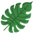 Palm Leaf icon