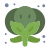 Brócoli icon