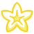 Starfruit icon