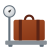 荷物の重量 icon