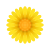 fleurir icon