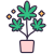 大麻叶 icon