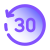 Повтор 30 icon