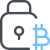 Lock Bitcoin icon