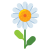 Daisy icon
