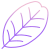 Carob Tree Leaf icon