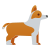 柯基犬 icon