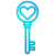 Key icon