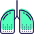 Lungs icon