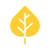 Aspen icon