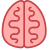 Cerveau icon