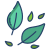 Leaves icon