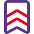 Double striped batch for home guards national uniform icon