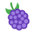 黑莓 icon