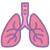 Pulmones icon