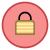 Secure icon