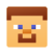 Personaje principal de Minecraft icon