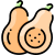 Squashball icon