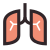 Pulmones icon