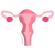 Gebärmutter icon