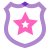 Distintivo della polizia icon