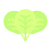 Oregano icon